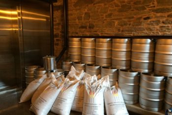 ADULT SWIM at Cellar Door Brewing Co.